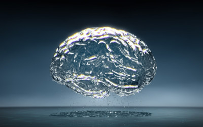 Cerebro y Agua